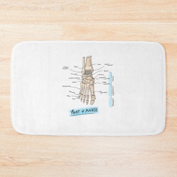 Item preview, Boney Anatomy of the foot and ankle  designed and sold by faolansforge.