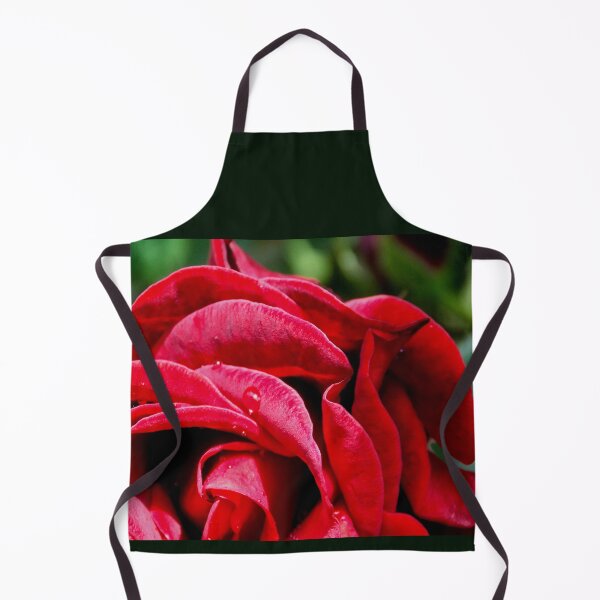 Artikelvorschau, Nahaufnahme von Red Rose & Rain Drops entworfen und verkauft von Branislava Tir .