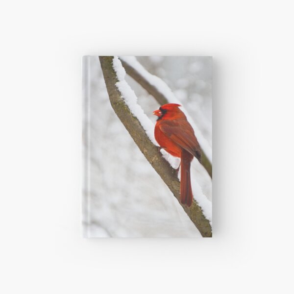 Cardinal's Snowy Breakfast Hardcover Journal