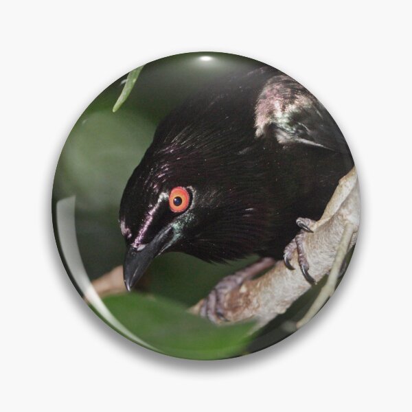 Item preview, Metallic Starling  designed and sold by Robert Elliott.