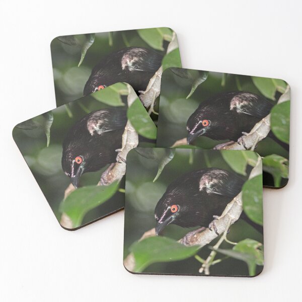 Item preview, Metallic Starling  designed and sold by Robert Elliott.