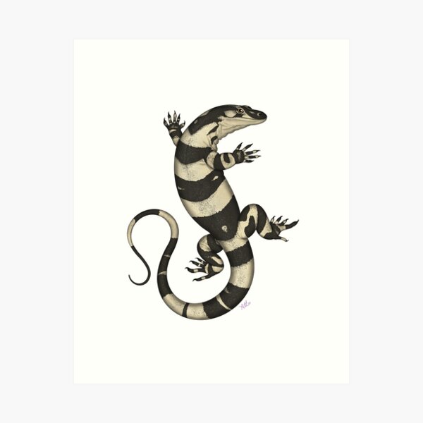 Item preview, Lace Monitor designed and sold by miss-varanus.