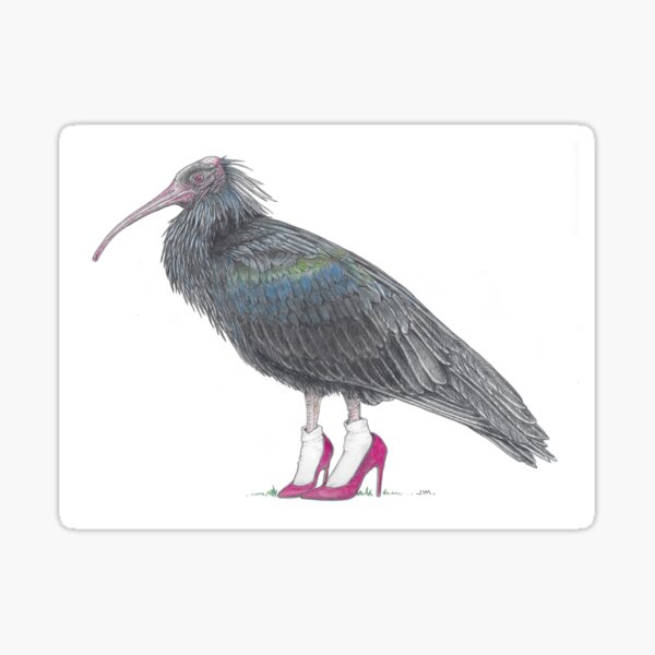 Item preview, ibis in high heels designed and sold by JimsBirds.