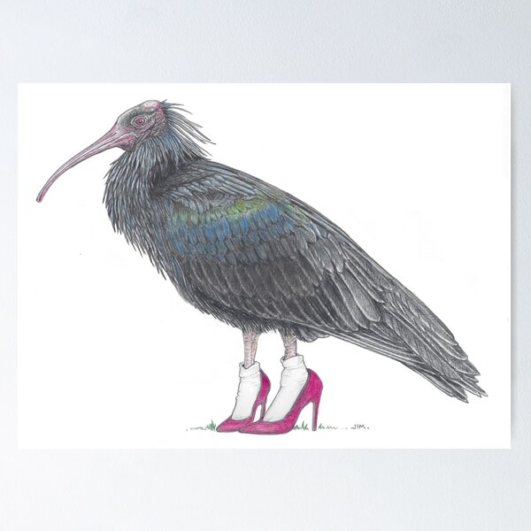 Item preview, ibis in high heels designed and sold by JimsBirds.