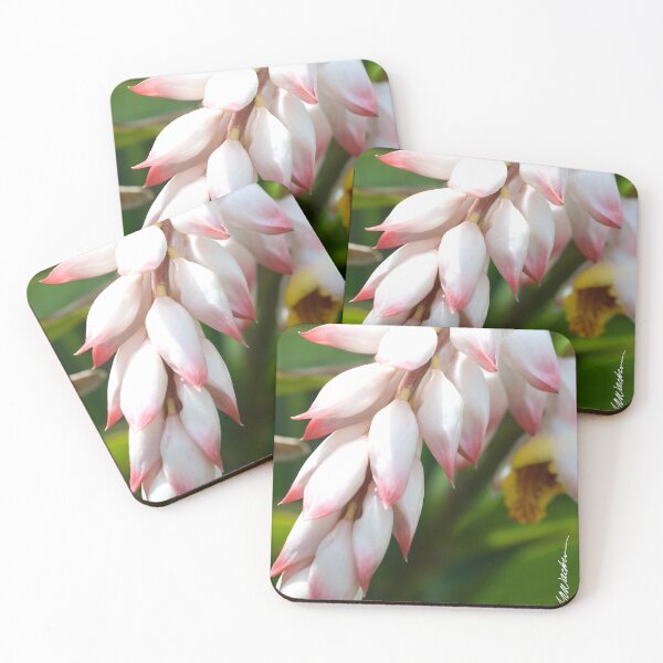Item preview, Maui Shell Ginger  designed and sold by srwdesign.