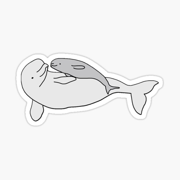 Beluga Whale Swimming Sticker by katdrawsit for iOS & Android