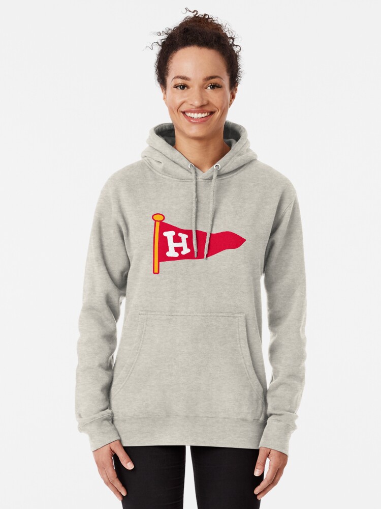 Harvard University Vintage Pennant Pullover Hoodie