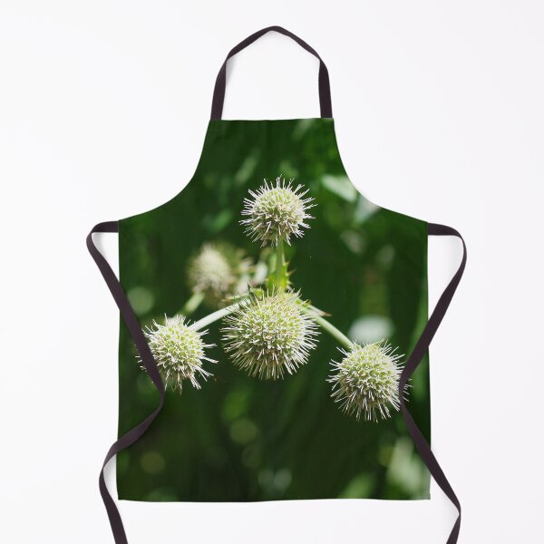 Item preview, A little prickly!  Rattlesnake master, Eryngium yuccifolium designed and sold by rvjames.