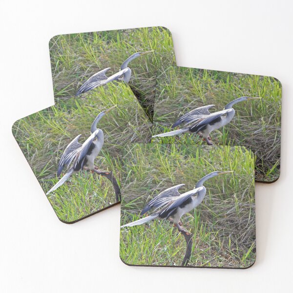 Item preview, Darter designed and sold by Robert Elliott.