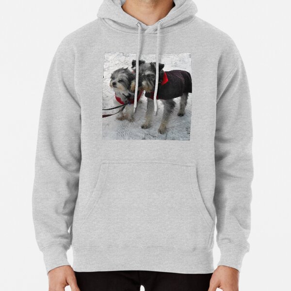 Freeze a jolly good fellow (or two) Pullover Hoodie