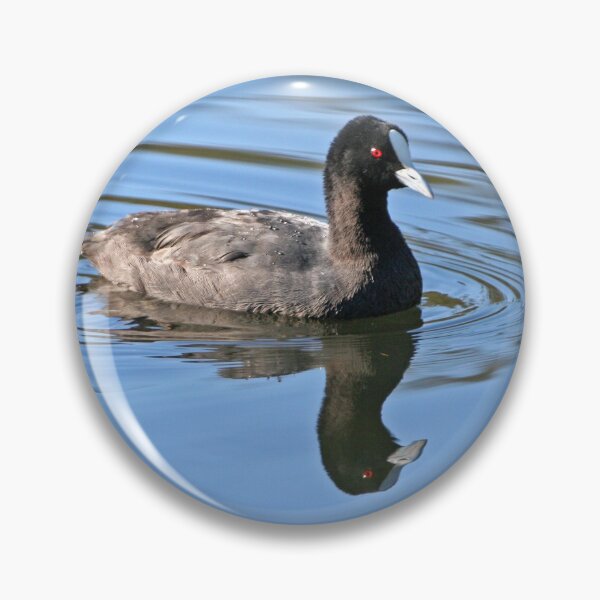 Item preview, Eurasian Coot  designed and sold by Robert Elliott.