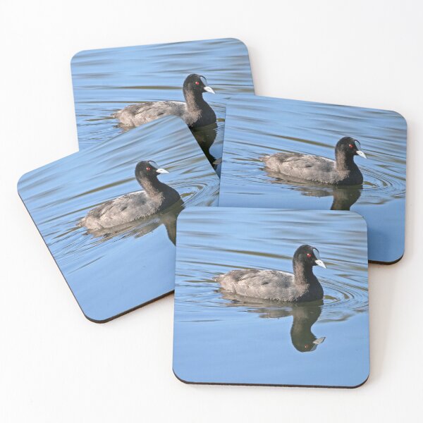 Item preview, Eurasian Coot  designed and sold by Robert Elliott.