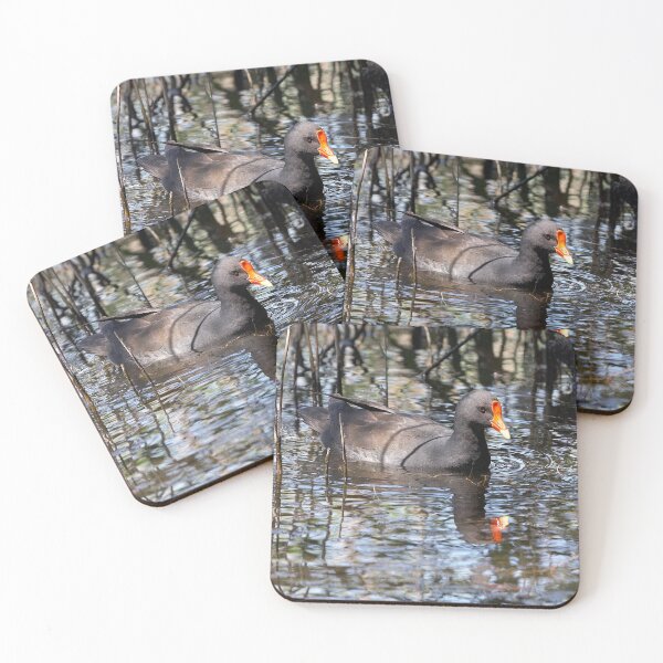 Item preview, Dusky Moorhen designed and sold by Robert Elliott.