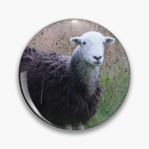 Item preview, Herdwick sheep designed and sold by Littleonesplay.