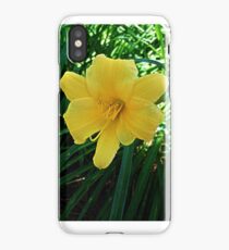 Daffodils iPhone Case/Skin