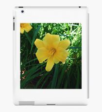 Daffodils iPad Case/Skin