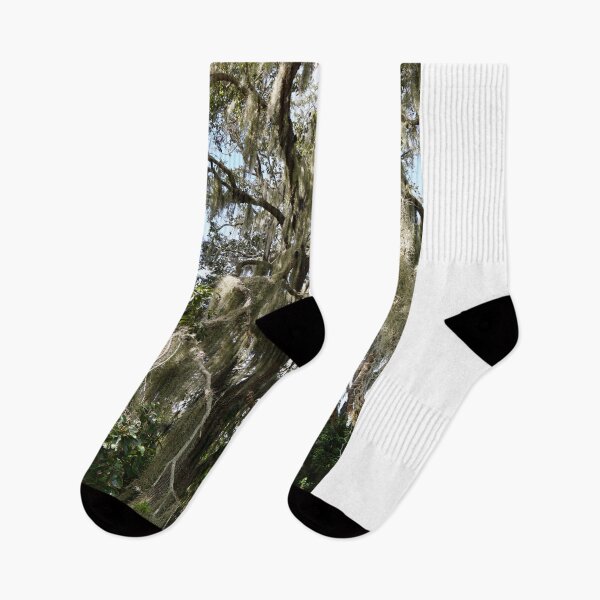 Item preview, old tree with spanish moss II designed and sold by distracted.
