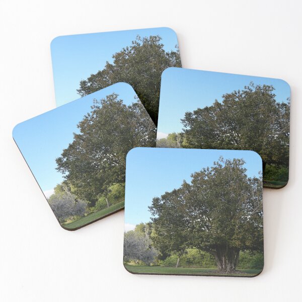 Item preview, old oak tree designed and sold by distracted.