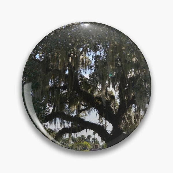 Item preview, ancient tree at warm mineral springs designed and sold by distracted.