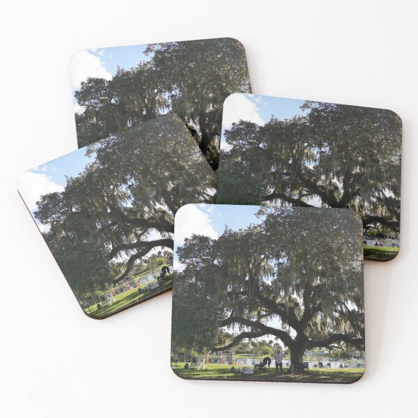 Item preview, ancient tree at warm mineral springs designed and sold by distracted.