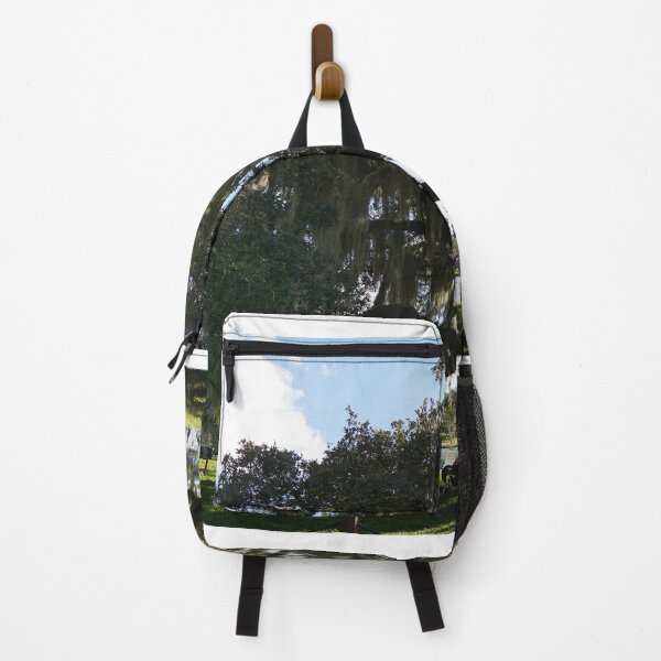 Item preview, ancient tree at warm mineral springs designed and sold by distracted.