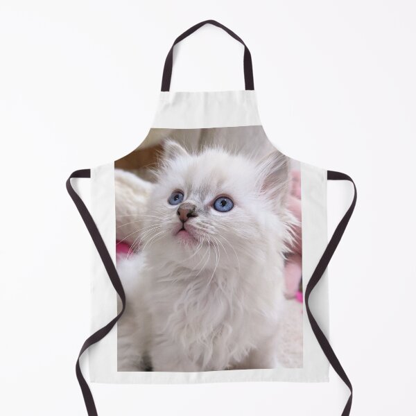 Item preview, Ragdoll kitten designed and sold by Fluffycat2020.