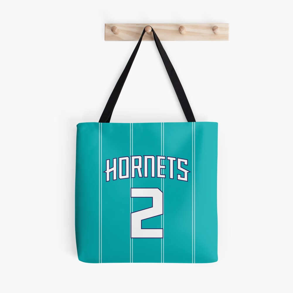 Lids LaMelo Ball Charlotte Hornets Pro Standard Name & Number Short Sleeve  Pullover Hoodie - Teal