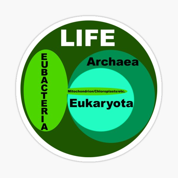 Life Sticker