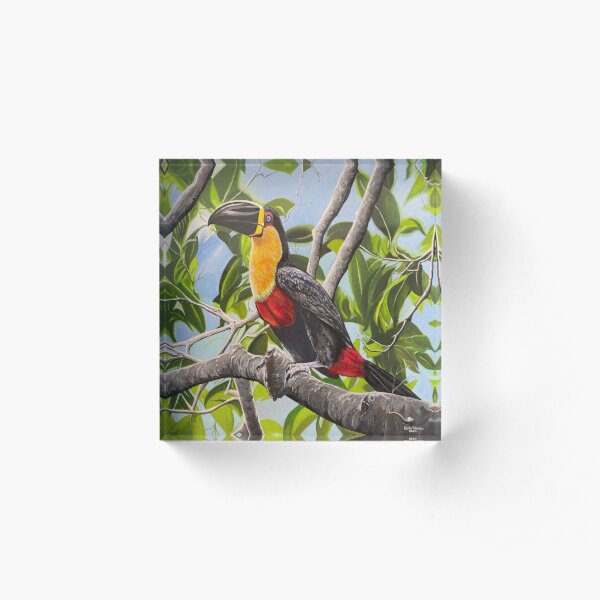 Toucan Acrylic Block