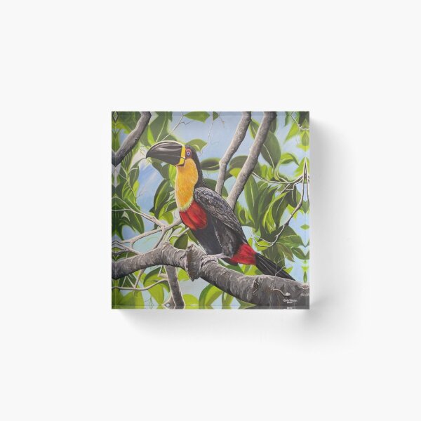 Toucan Acrylic Block
