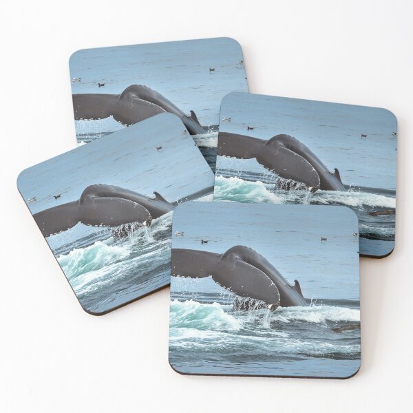 Item preview, Humpback Whale Fluke designed and sold by Ian Christopher.