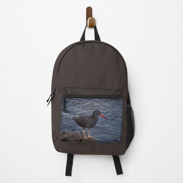 Item preview, Black Oystercatcher designed and sold by Ian Christopher.