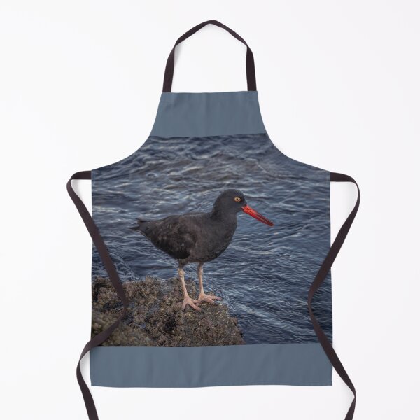 Item preview, Black Oystercatcher designed and sold by Ian Christopher.