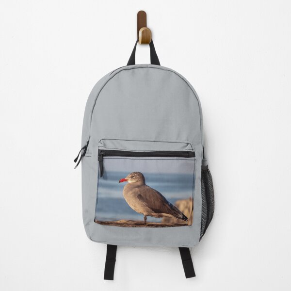 Item preview, Heermann's Gull designed and sold by Ian Christopher.