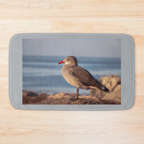 Item preview, Heermann's Gull  designed and sold by Ian Christopher.