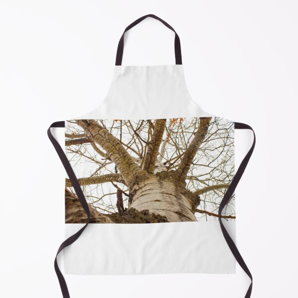 Item preview, White Poplar From The Ground Up designed and sold by stephenralph.