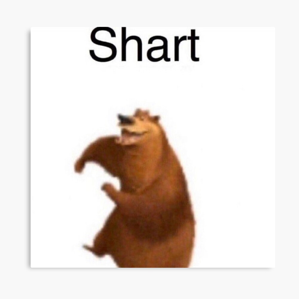 shart bear