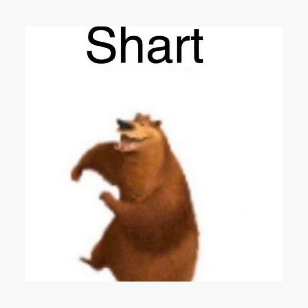 shart bear