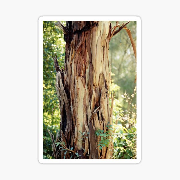 Item preview, Gum Tree Trunk designed and sold by Jenny Brice.
