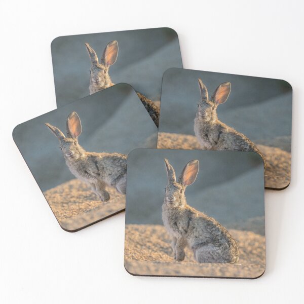 Item preview, Desert Cottontail  designed and sold by Ian Christopher.