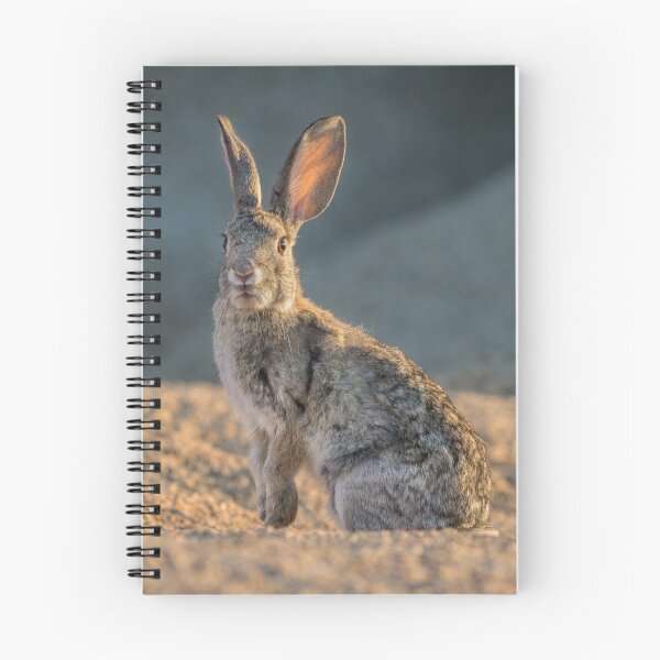 Item preview, Desert Cottontail  designed and sold by Ian Christopher.
