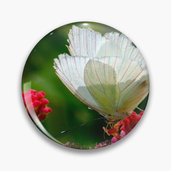 Item preview, A beautiful white butterfly in a summer garden designed and sold by Susan Sheldon.