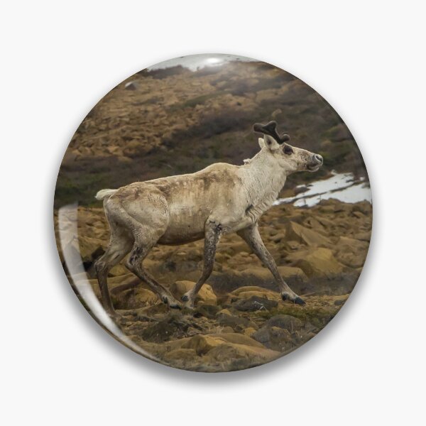 Item preview, Gros Morne Caribou designed and sold by Ian Christopher.