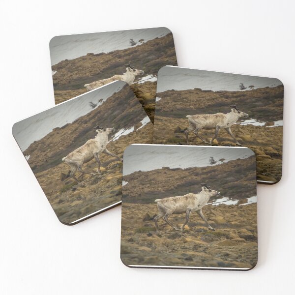 Item preview, Gros Morne Caribou designed and sold by Ian Christopher.
