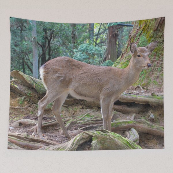 Item preview, Nara Deer designed and sold by Elizabeth Dale.