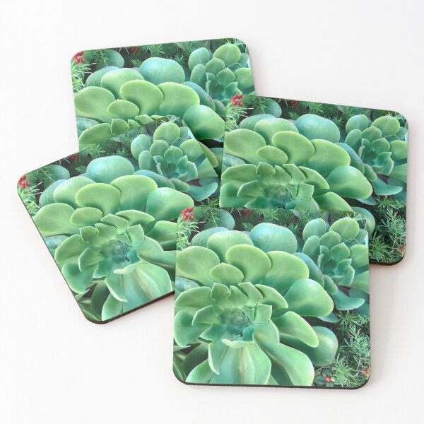 Item preview, fresh succulents designed and sold by SunnyDesignsCo.