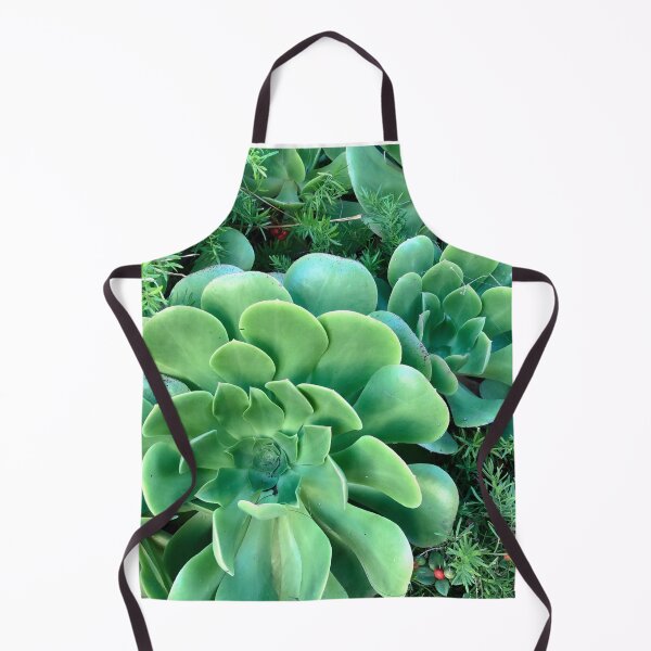 Item preview, fresh succulents designed and sold by SunnyDesignsCo.