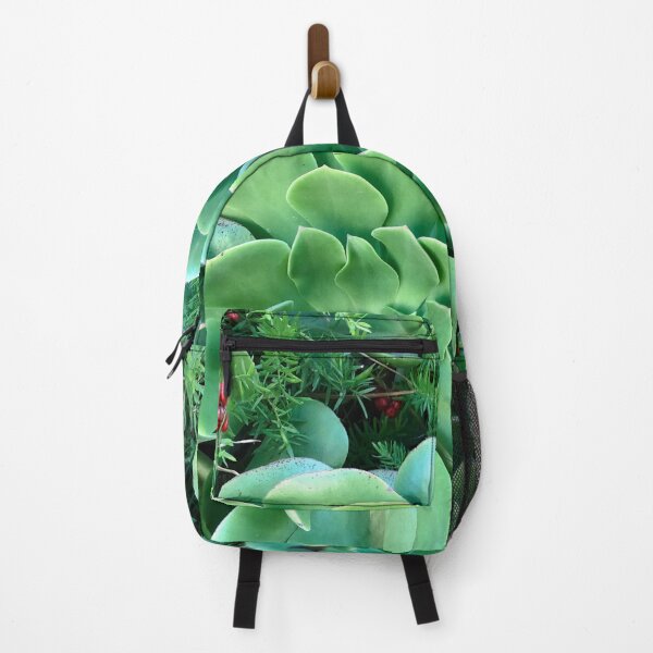 Item preview, fresh succulents designed and sold by SunnyDesignsCo.