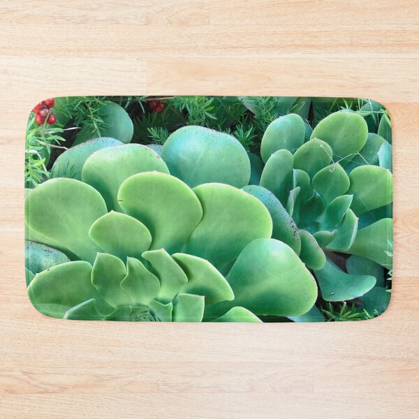 Item preview, fresh succulents designed and sold by SunnyDesignsCo.