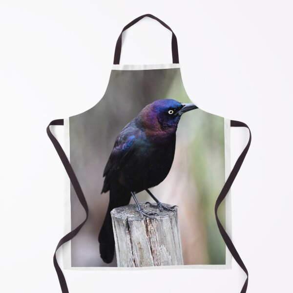 Item preview, Common Grackle on a Post designed and sold by richardbryce.